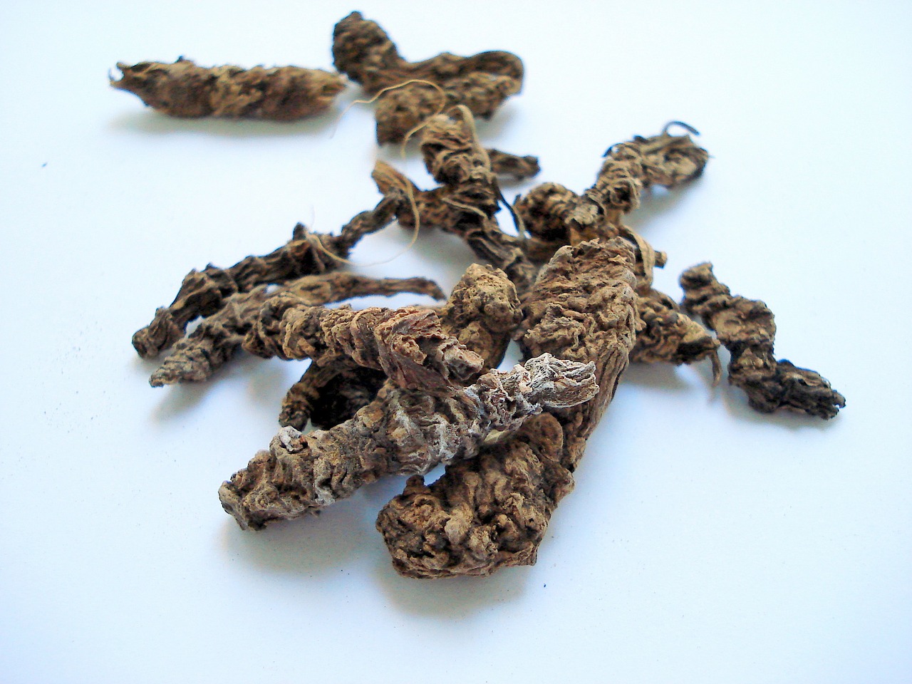 Benefits of valerian root tea